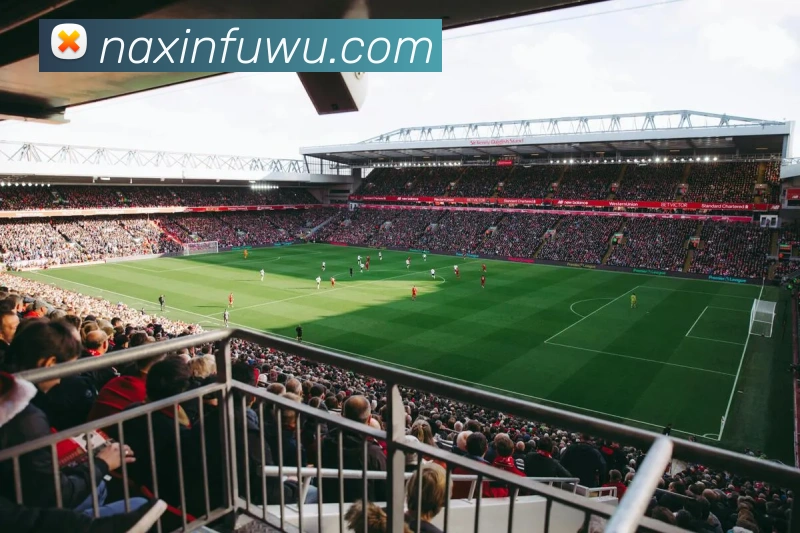 开云app发展历程